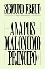 Anapus malonumo principo — filosofija