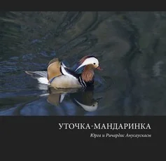 Уточка-мандаринка