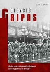 Didysis gripas