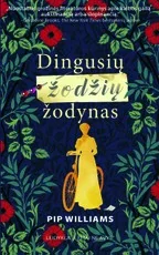 Dingusių žodžių žodynas