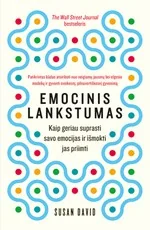 Emocinis lankstumas