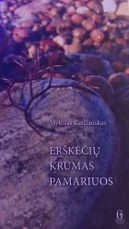 Erškėčių krūmas pamariuos — grozine-literatura-jaunimui