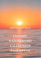 Jausmų vandenyno giliausios paslaptys — lietuviu-poezija