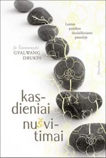 Kasdieniai nušvitimai. Laimės paieškos šiuolaikiniame pasaulyje — rytu-ismintis
