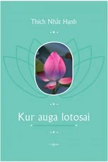 Kur auga lotosai
