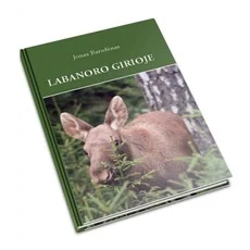 Labanoro girioje
