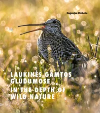 Laukinės gamtos glūdumose