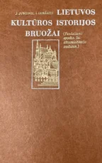 Lietuvos kultūros istorijos bruožai