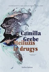 Meilužis ir drugys