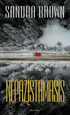 Nepažįstamasis (2016)