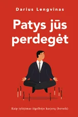 PATYS JŪS PERDEGĖT. Romanas apie karjerą ir gyvenimo balansą