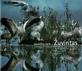 Paukščių šalis – Žuvintas — gamtos-zinynai