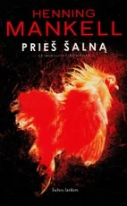 Prieš šalną — skandinaviskas-detektyvas