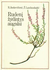 Rudenį žydintys augalai — gamtos-zinynai