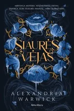 Šiaurės vėjas