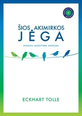 ŠIOS AKIMIRKOS JĖGA: dvasios nušvitimo vadovas — asmenybes-tobulinimas