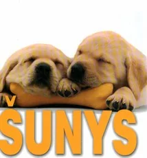 Šunys — gyvunai-gamta