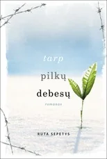 Tarp pilkų debesų