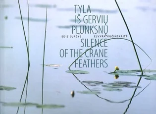 Tyla iš gervių plunksnų