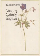 Vasarą žydintys augalai — gamtos-zinynai