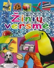 Žinių versmė