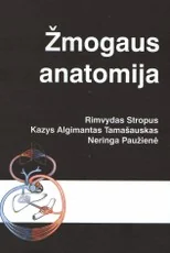 Žmogaus anatomija